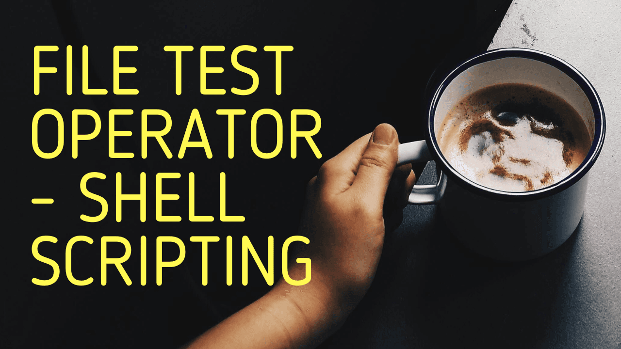 File Test operator | Shell Scripting